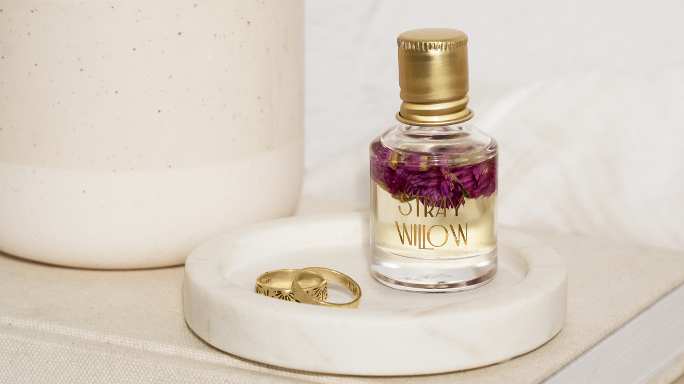 The Story Behind Stray Willow